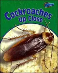 Cockroaches Up Close