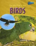 The Wild Side of Pet Birds
