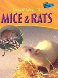 The Wild Side of Pet Mice & Rats
