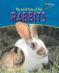 The Wild Side of Pet Rabbits