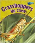 Grasshoppers Up Close