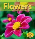 Flowers, Vol. 1