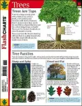 Spark Charts Flash Charts Trees