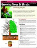Growing Trees & Shrubs (Quamut)