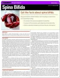 Spina Bifida (Quamut)