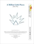 A Million Little Pieces (SparkNotes Literature Guide Series)
