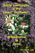 Edible Landscaping In The Desert Southwest