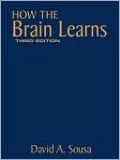 How The Brain Learns