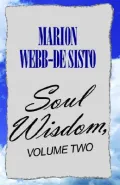 Soul Wisdom, Vol. 2