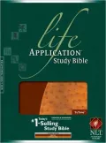 Life Application Study Bible NLT Bonded TuTone Edition