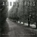 2009 Among Trees Wall Calendar
