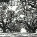 2011 Among Trees Wall Calendar