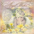 2011 Angel Wishes Wall Calendar