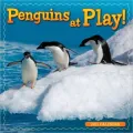 2011 Penguins At Play Wall Calendar