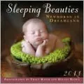 2011 Sleeping Beauties: Newborns In Dreamland Mini Wall Calendar