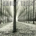 2012 Among Trees Wall Calendar