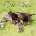 2012 Cat Naps Wall Calendar