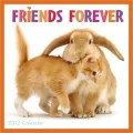2012 Friends Forever Wall Calendar