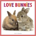 2012 Love Bunnies Wall Calendar