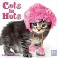 2012 Cats in Hats Wall Calendar