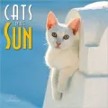 2012 Cats in the Sun Wall Calendar