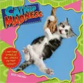 2012 Catnip Madness Wall Calendar