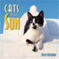 2012 Cats in the Sun Mini Wall Calendar