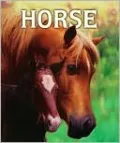The Stolen Pony