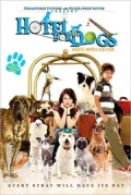 Hotel for Dogs: Movie Novelization (Hotel for Dogs Series)