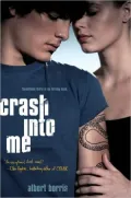 Crash into Me