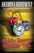 Public Enemy Number Two: A Diamond Brothers Mystery