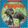 Puppies
