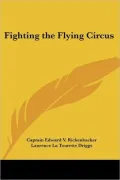 Fighting the Flying Circus