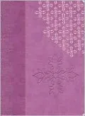 The King James Study Bible