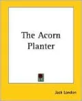 Acorn Planter