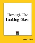 Through the Looking Glass