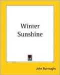 Winter Sunshine