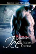 Burning Ice