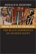 From Slave to Pharaoh: The Black Experience of Ancient Egypt
