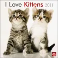 2011 Kittens, I Love Square Wall Calendar