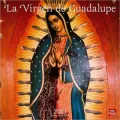 2011 La Virgen de Guadalupe/The Virgin of Guadalupe Square Wall Calendar