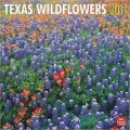 2011 Texas Wildflowers Square Wall Calendar