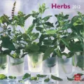 2012 Herbs Square 12X12 Wall Calendar