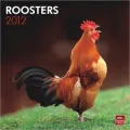 2012 Roosters Square 12X12 Wall Calendar