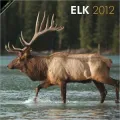 2012 Elk Square 12X12 Wall Calendar