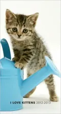 I Love Kittens 2012 Two Year Pocket Planner