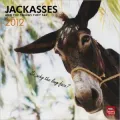 2012 Jackasses Square 12X12 Wall Calendar
