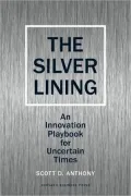 Silver Lining: Your Guide to Innovating in a Downturn