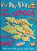 Why Why Why Are There Schools in the Sea?