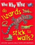 Why Why Why Do Lizards Stick to Walls?